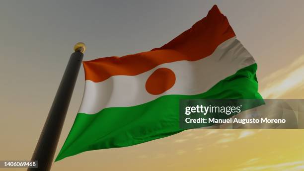 flag of niger - niger river stock-fotos und bilder