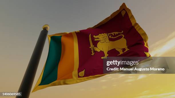 flag of sri lanka - sri lanka flag stock pictures, royalty-free photos & images