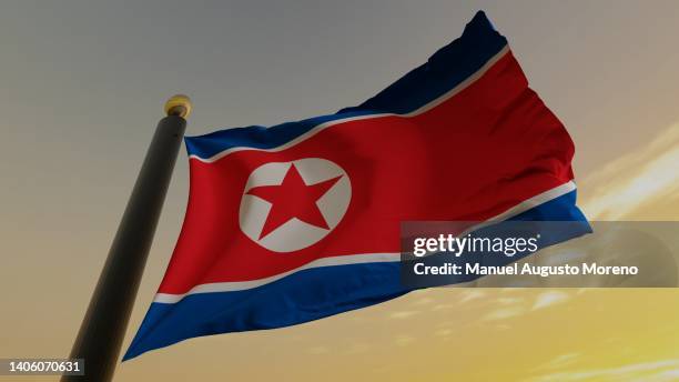 flag of north korea - 韓国文化 個照片及圖片檔