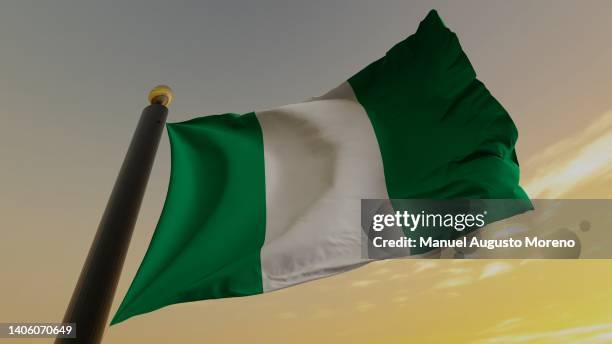 flag of nigeria - nigeria foto e immagini stock