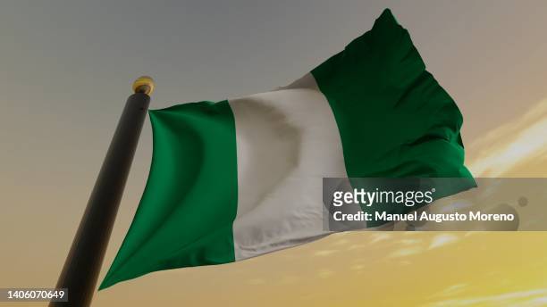 flag of nigeria - ナイジェリア ストックフォトと画像