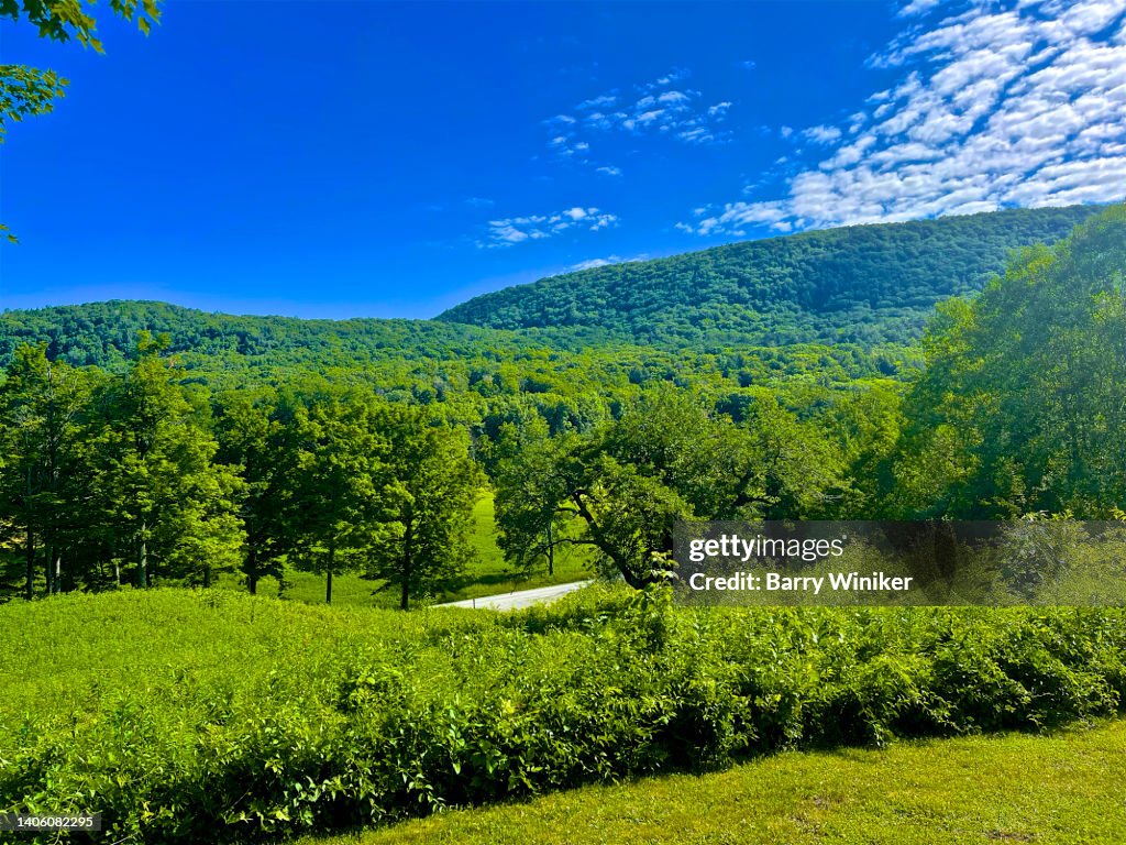 Vista of lush green lawn, trees, hills in The Berkshires