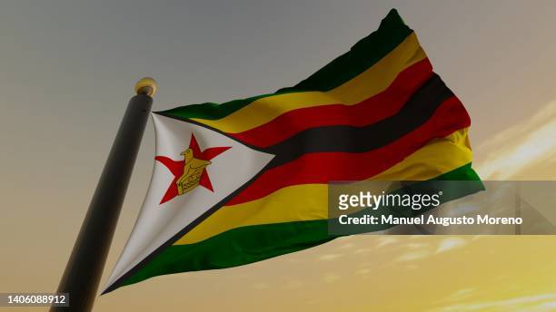 flag of zimbabwe - zimbabue fotografías e imágenes de stock