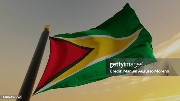 flag of guyana - guyana stock pictures, royalty-free photos & images