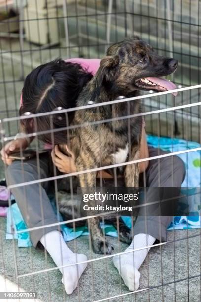 3,851 Northeast Animal Shelter Photos and Premium High Res Pictures - Getty Images 3,851 Northeast Animal Shelter Photos and Premium High Res Pictures - Getty Images