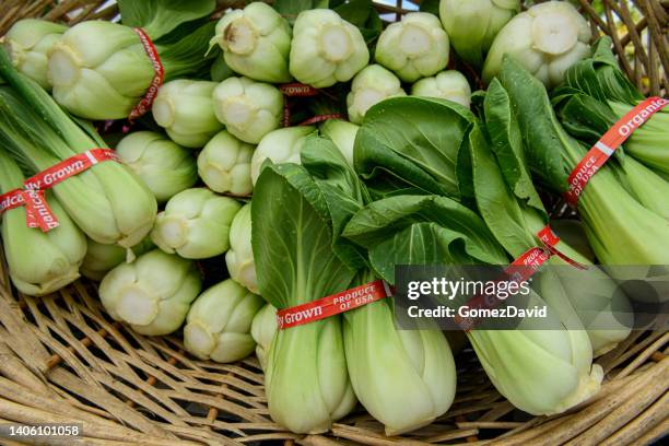 close-up of organic bok choy at farmer's market - close up of bok choy bildbanksfoton och bilder