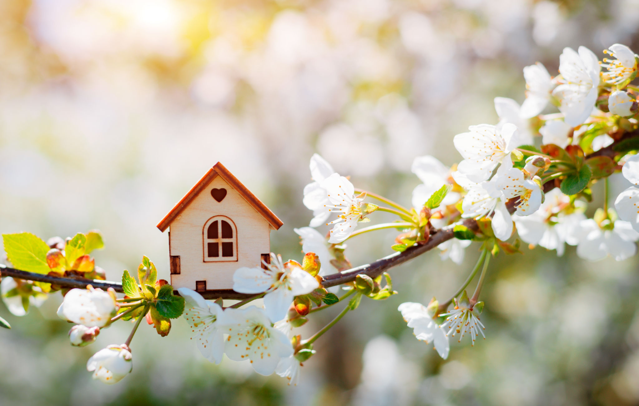 seasonal home buying