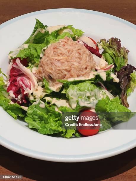 tuna salad - tuna salad stock pictures, royalty-free photos & images