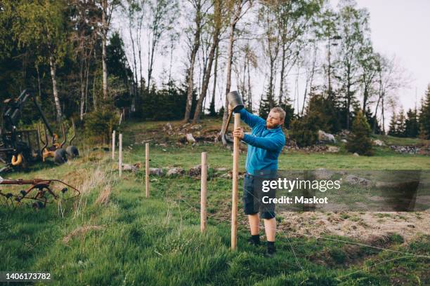 male farmer hammering wooden pole while making fence at farm during sunset - poteau dappui photos et images de collection