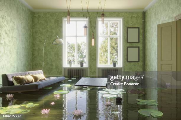 teich im wohnzimmer - wohnung unter wasser stock-fotos und bilder