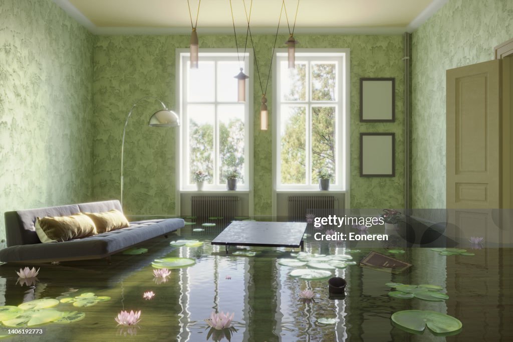 Pond in living room