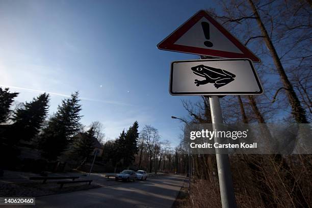 Conservationists Prepare For Amphibian Migrations Photos and Premium