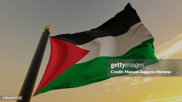 flag of palestine - palestinian fotografías e imágenes de stock