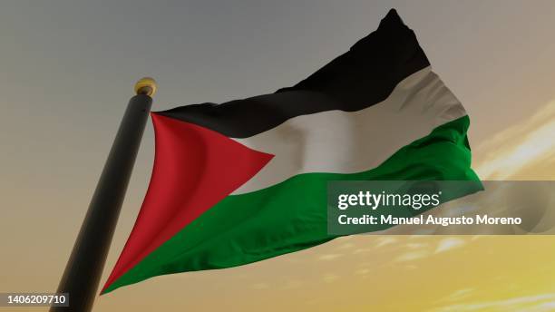 flag of palestine - palestinian stock pictures, royalty-free photos & images