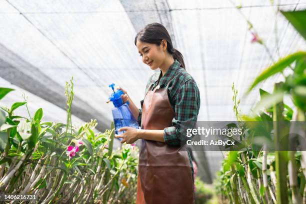 woman watering flowers in garden with watering can - orchids of asia - fotografias e filmes do acervo