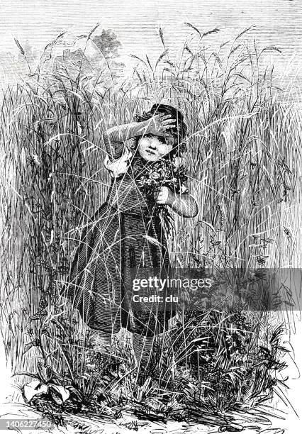 girl between cornflowers - cornflower stock illustrations