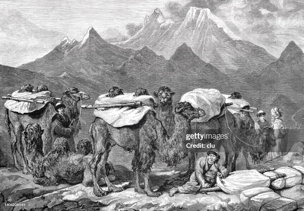 Transport of goods by camels in Turkestan