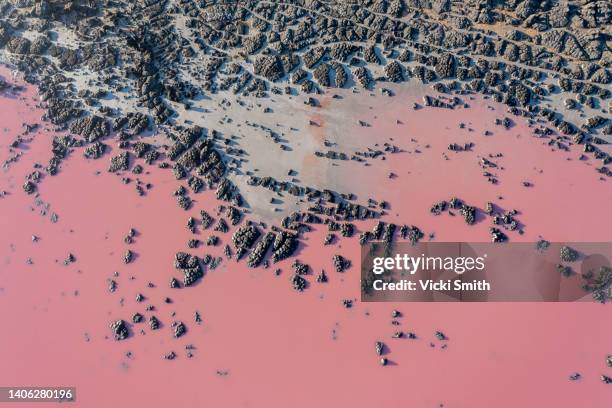 drone view point of the pink shades of color, patterns and  textures over pink lake waters with dark salty sandy soil - travel choicepix stock pictures, royalty-free photos & images