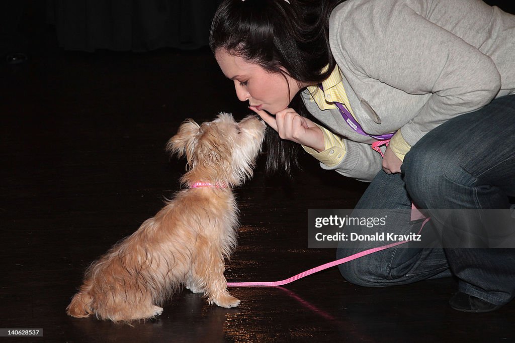 Showboat Atlantic City Celebrates One-Year Of Being The Only Pet-Friendly Casino