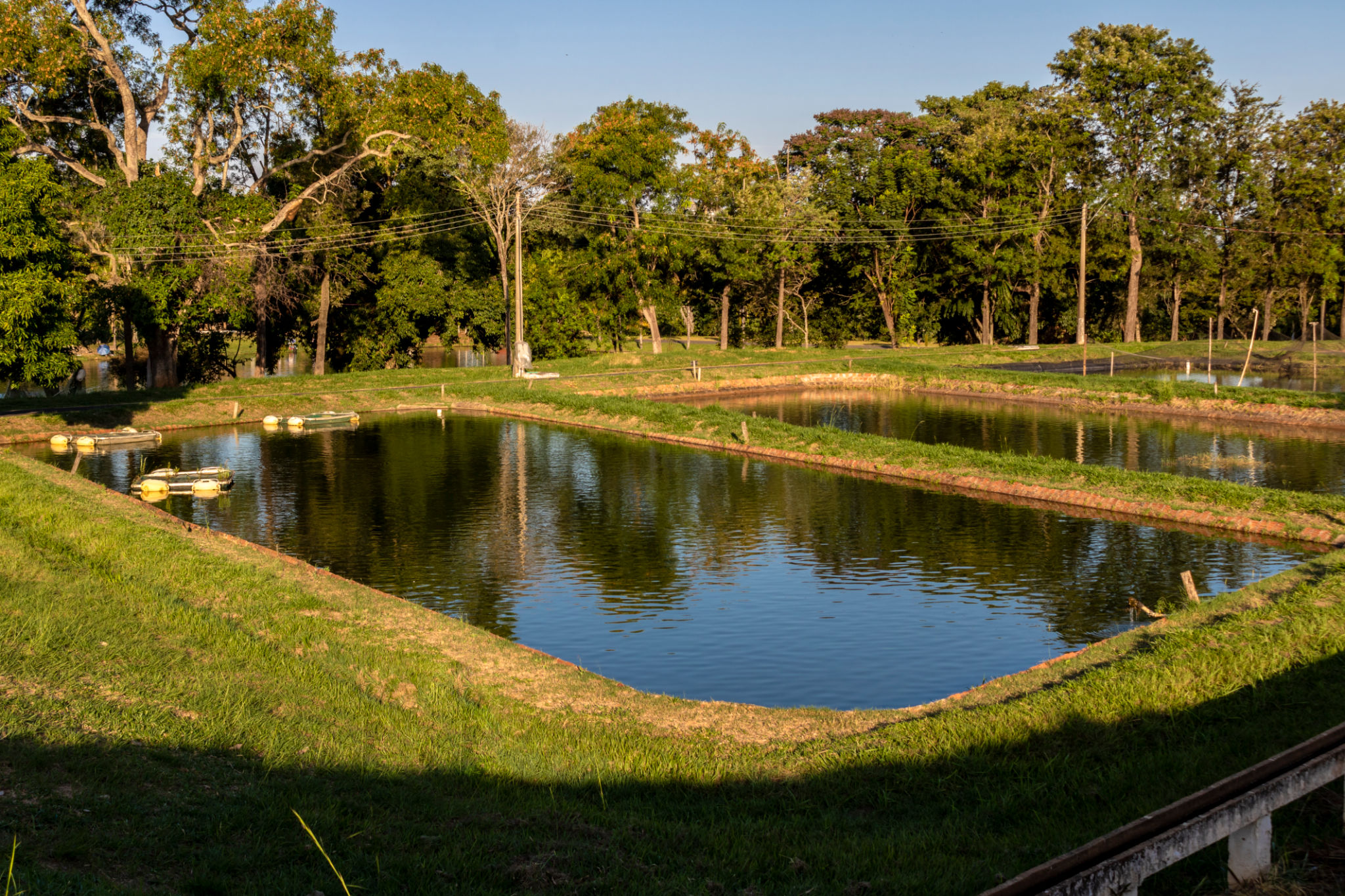 Tanks used for raising tilapia on a fish farm Tanks used for raising tilapia on a fish farm