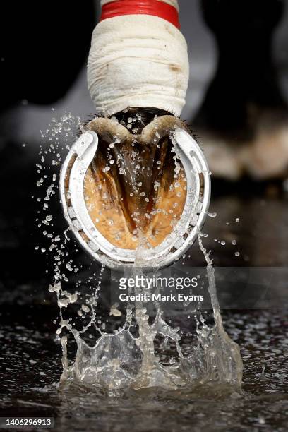 Horses hoof goes through a puddle in the mounting yard before race 4 during Sydney Racing at Rosehill Gardens on July 02, 2022 in Sydney, Australia.