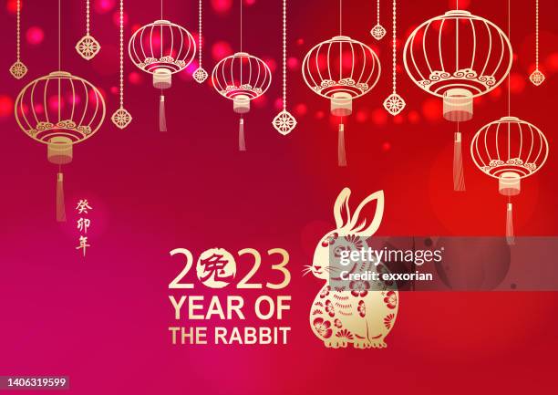 feier des chinesischen neujahrs mit rabbit - kung hei fat choi stock-grafiken, -clipart, -cartoons und -symbole