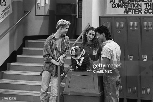 Save That Tiger" Episode 16 -- Air Date -- Pictured: Mark-Paul Gosselaar as Zachary 'Zack' Morris, Elizabeth Berkley as Jessie Spano, Mario Lopez as...