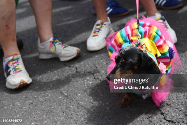 General view of Pride in London 2022: The 50th Anniversary - Parade on July 02, 2022 in London, England.