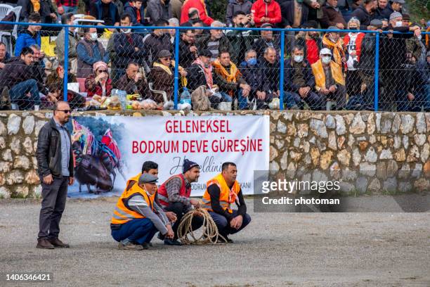 tres hombres sentados frente al cartel del festival, en idioma turco - turquía del egeo fotografías e imágenes de stock