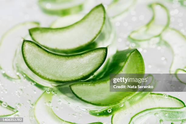 aloe vera slice texture with gel on green background. - アロエ ストックフォトと画像