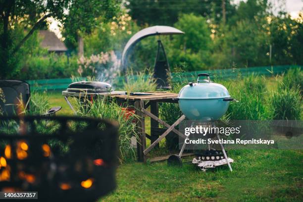 lawn in the courtyard of the house, different models of barbecues - brasero photos et images de collection