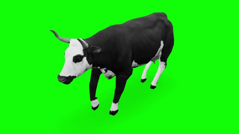 276 Cow Green Screen Videos and HD Footage - Getty Images 276 Cow Green Screen Videos and HD Footage - Getty Images