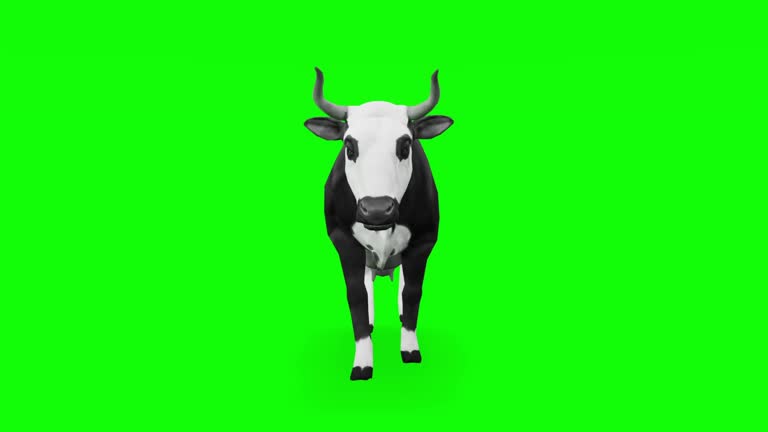 Caw Animation Cow Front View Cartoon Videos and HD Footage - Getty Images