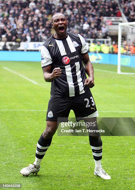 Shola Ameobi of Newcastle United celebrates after scoring the equalising goal during the Barclays Premier League match between Newcastle United and...