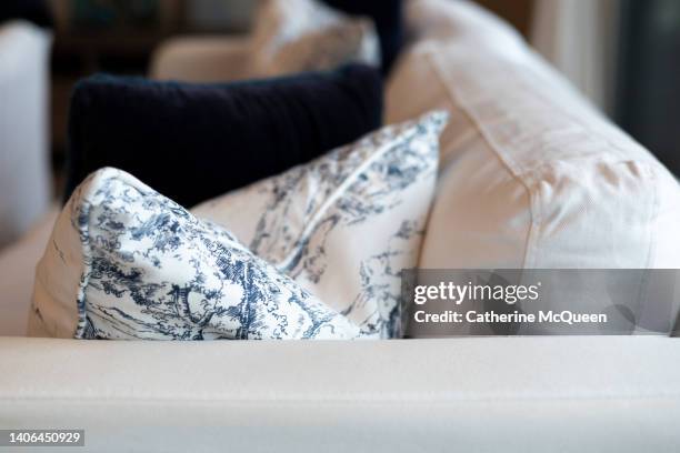 partial view of comfortable sofa in living room of beach cottage - toile de jouy foto e immagini stock