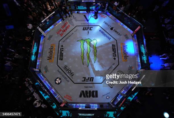 An overhead view of the Octagon as Israel Adesanya of Nigeria prepares to fight Jared Cannonier in the UFC middleweight championship fight during the...