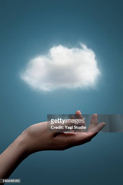 the cloud network on the palm - nuage seul photos et images de collection