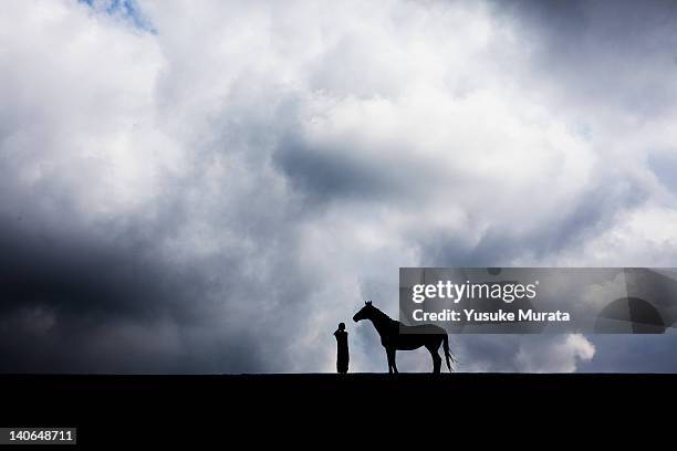 woman standing in field with horse - horizont über land stock-fotos und bilder