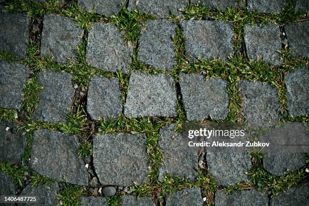 paths made of paving stones with green grass. sidewalk and path in a public park, abstract natural background. - cobblestone texture stock pictures, royalty-free photos & images