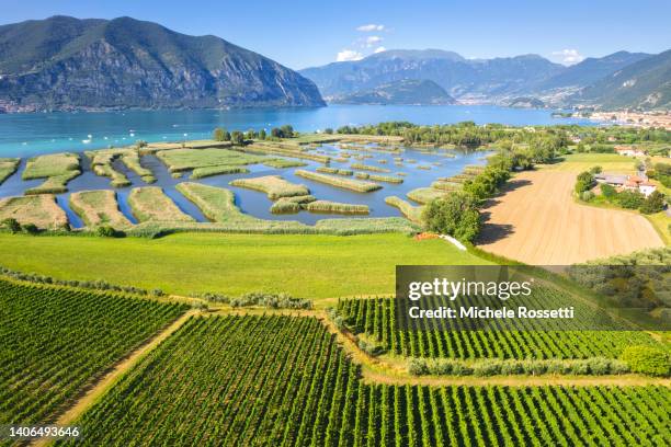 lake - franciacorta stockfoto's en -beelden