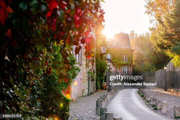 sun shining through the trees on idyllic street in montmartre, paris, france - paris summer bildbanksfoton och bilder