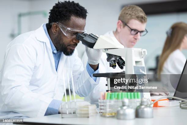genomics and microbiology research laboratory. african american scientist is using microscope to examining growth of microbiological cultures on petri dishes and researchers working on laptop in microbiology laboratory. - stammzelle stock-fotos und bilder