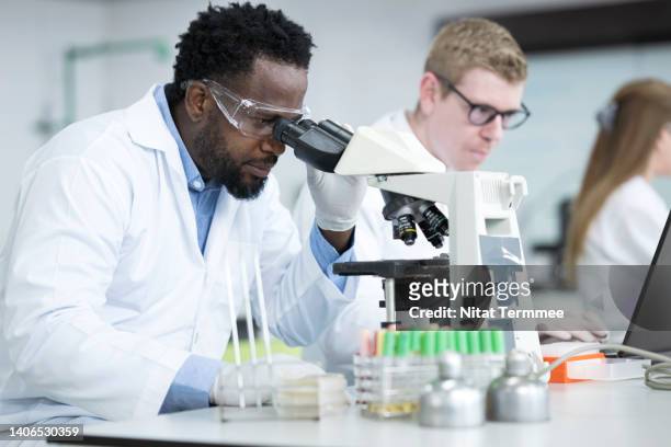 genomics and microbiology research laboratory. african american scientist is using microscope to examining growth of microbiological cultures on petri dishes and researchers working on laptop in microbiology laboratory. - microbiologist fotografías e imágenes de stock