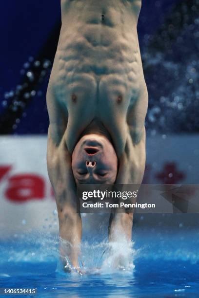 Oleksii Sereda of Team Ukraine competes in the Men's 10m Platform Final on day eight of the Budapest 2022 FINA World Championships at Duna Arena on...
