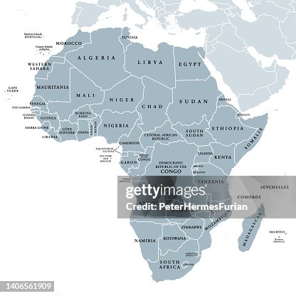Single Country Map Africa Single Countries Gray Political Map High-Res Vector Graphic ...