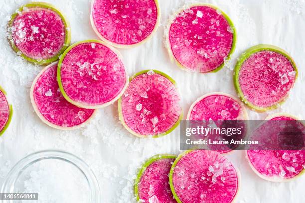 bright vibrant slices of watermelon radish - magnoliopsida bildbanksfoton och bilder
