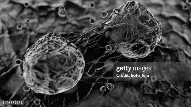 cancer malignant cells - t-cell receptor stock pictures, royalty-free photos & images