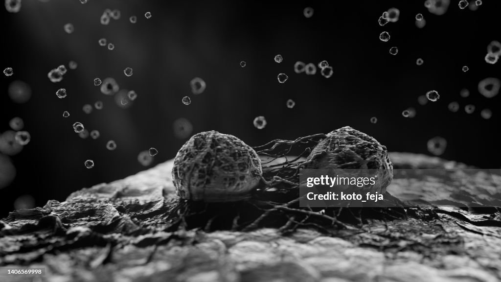 Cancer malignant cells