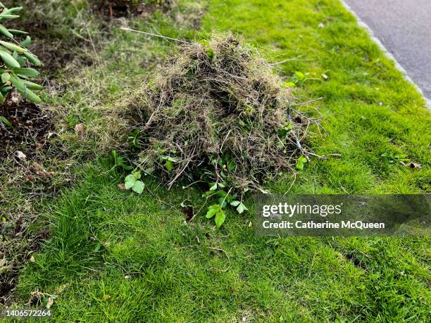 pile of yard waste after weeding flowerbed - dry branch stock pictures, royalty-free photos & images