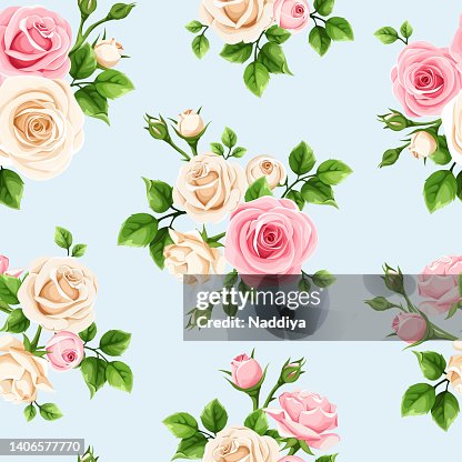 Seamless Pattern With Pink And White Roses On Blue Vector Illustration ...